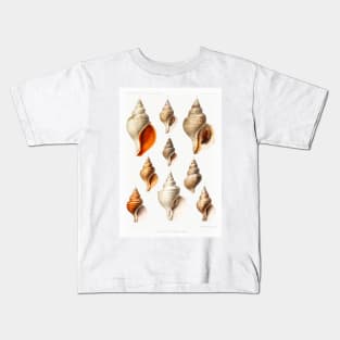 Molluscs of the Northern Seas Kids T-Shirt